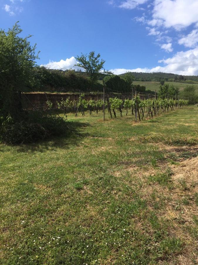 Beck Domaine Du Rempart Villa Dambach Exterior foto