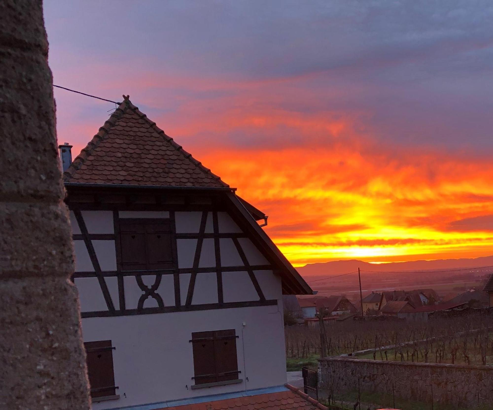 Beck Domaine Du Rempart Villa Dambach Exterior foto