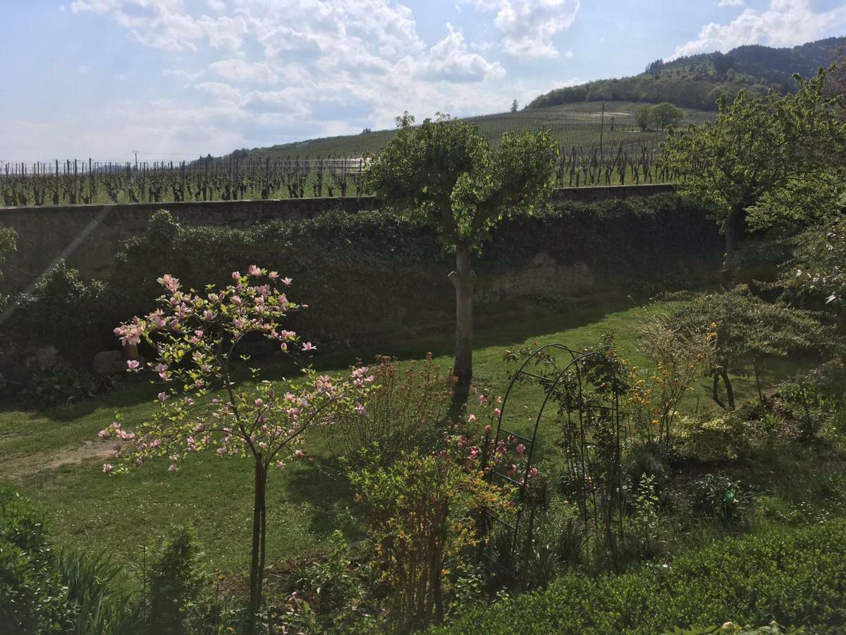 Beck Domaine Du Rempart Villa Dambach Exterior foto
